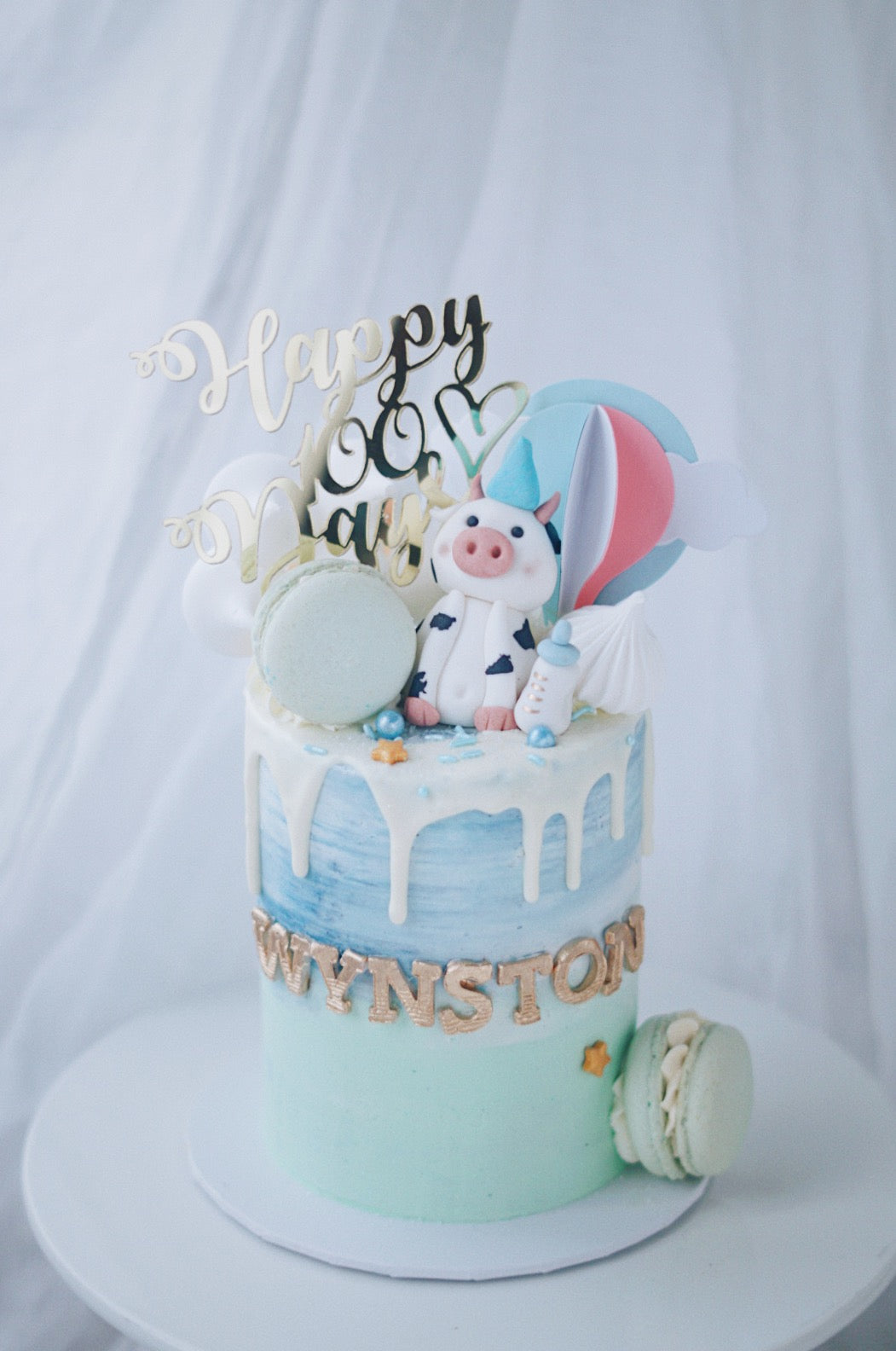 Baby Animal - Hot balloon with Meringue Cloud